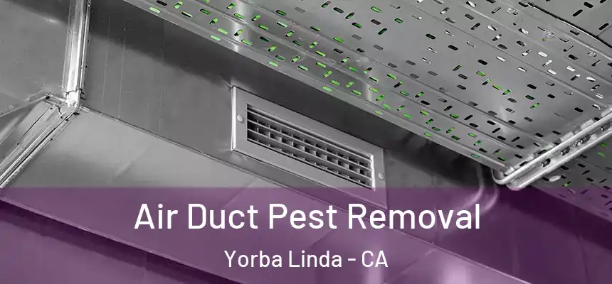 Air Duct Pest Removal Yorba Linda - CA