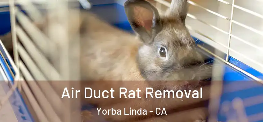 Air Duct Rat Removal Yorba Linda - CA