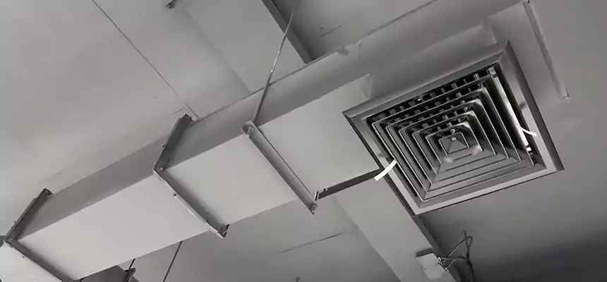 Our Rodent Droppings In Vents Services in Yorba Linda, CA