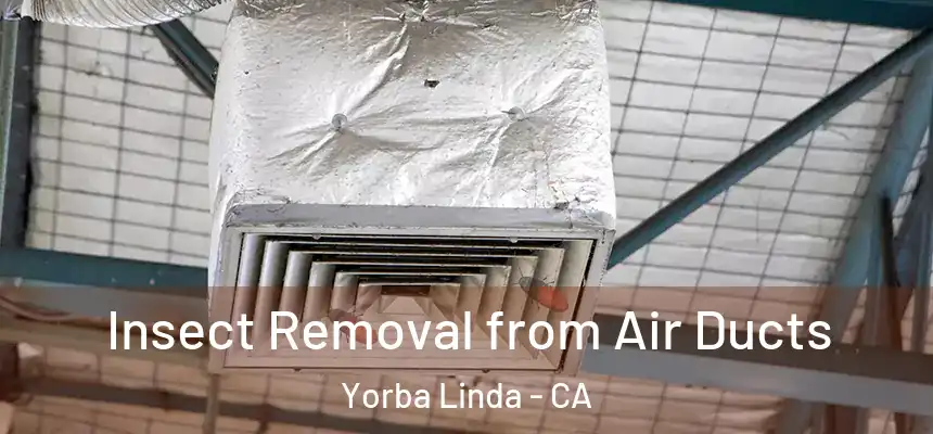  Insect Removal from Air Ducts Yorba Linda - CA