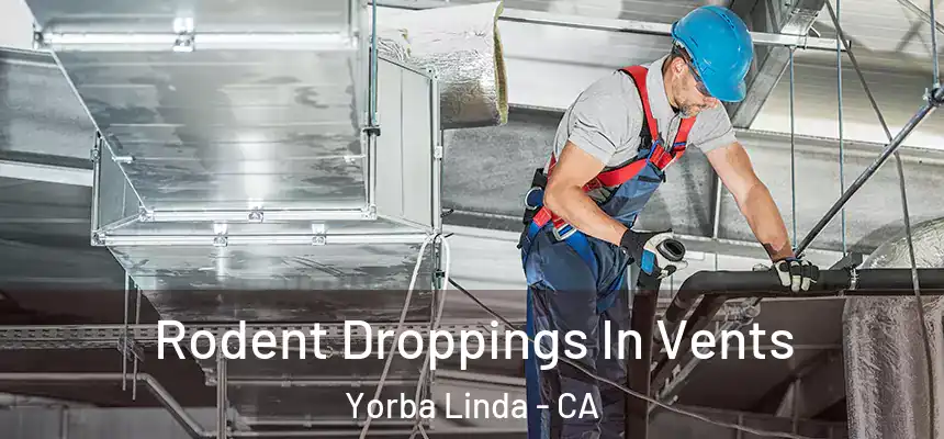  Rodent Droppings In Vents Yorba Linda - CA